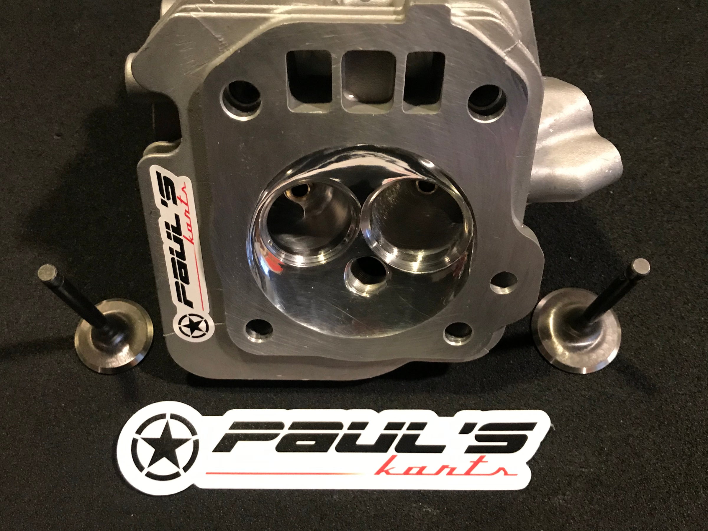 Predator 212 cylinder heads Pauls Karts